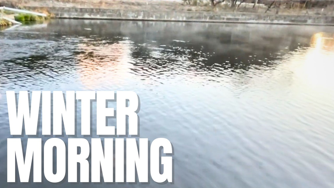 AREA TROUT FISHING Japan 2024.1.27