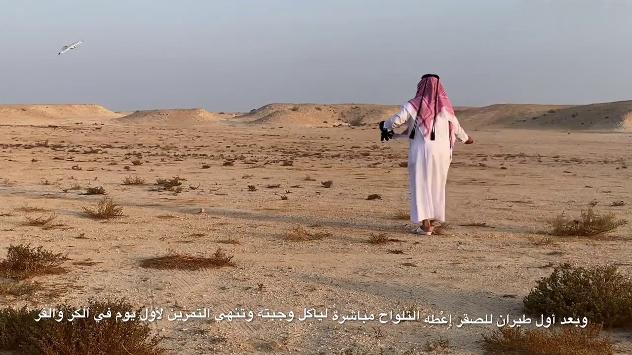 (  نَادْرَةْ الرَاكْدَةْ  ٩  )