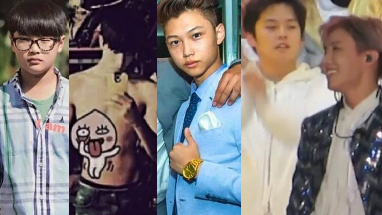 STRAY KIDS (스트레이 키즈) PREDEBUT COMPILATION