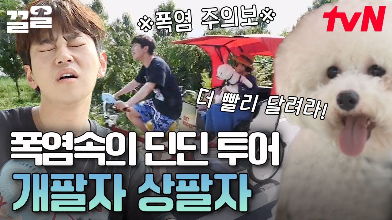 엄마랑 반려견 디디를 위한 딘딘의 이벤트💖 그리고 소심견 디디의 가족 지킴이 모먼트까지! 힐링 되는 딘딘네 가족의 하루 | 대화가필요한개냥