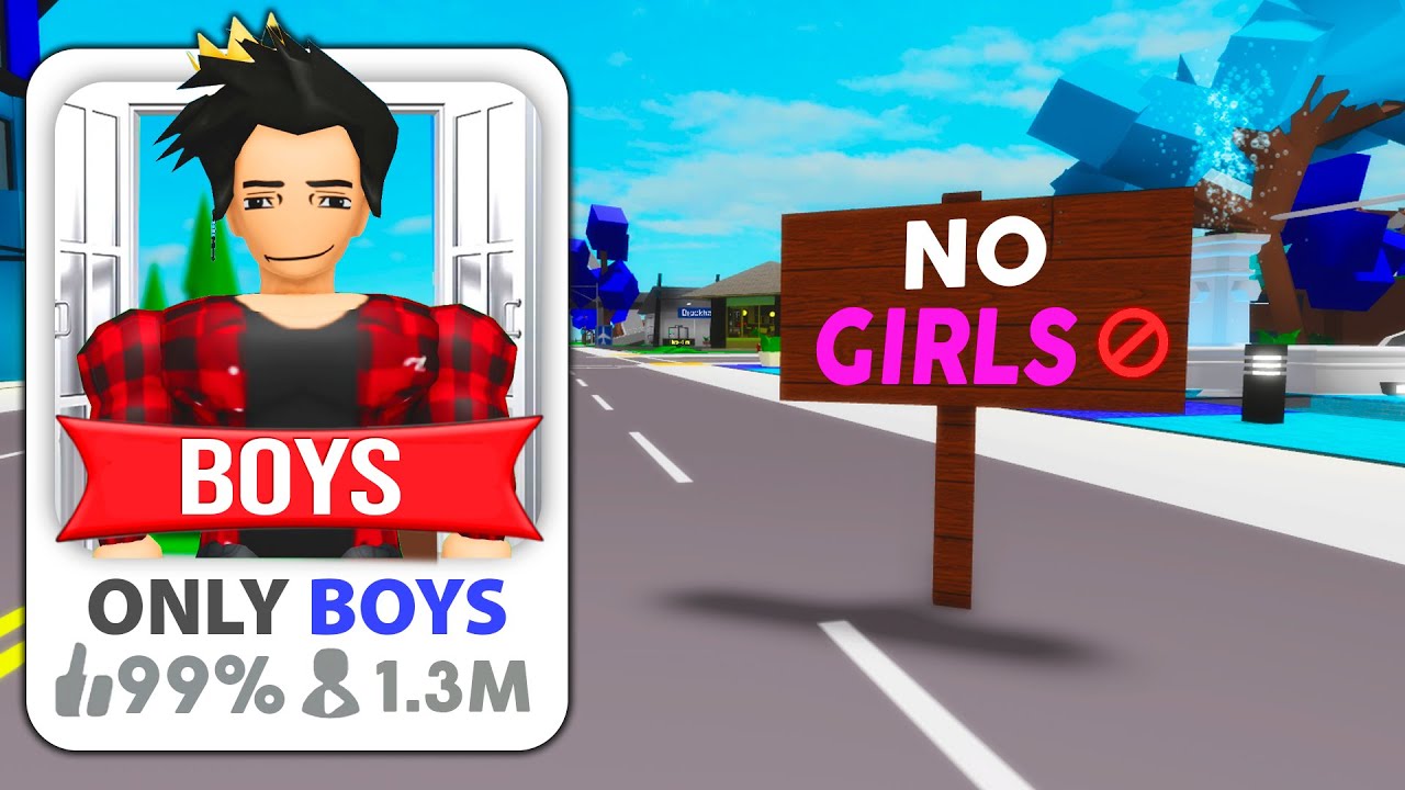 I CREATED a BROOKHAVEN ONLY for BOYS!