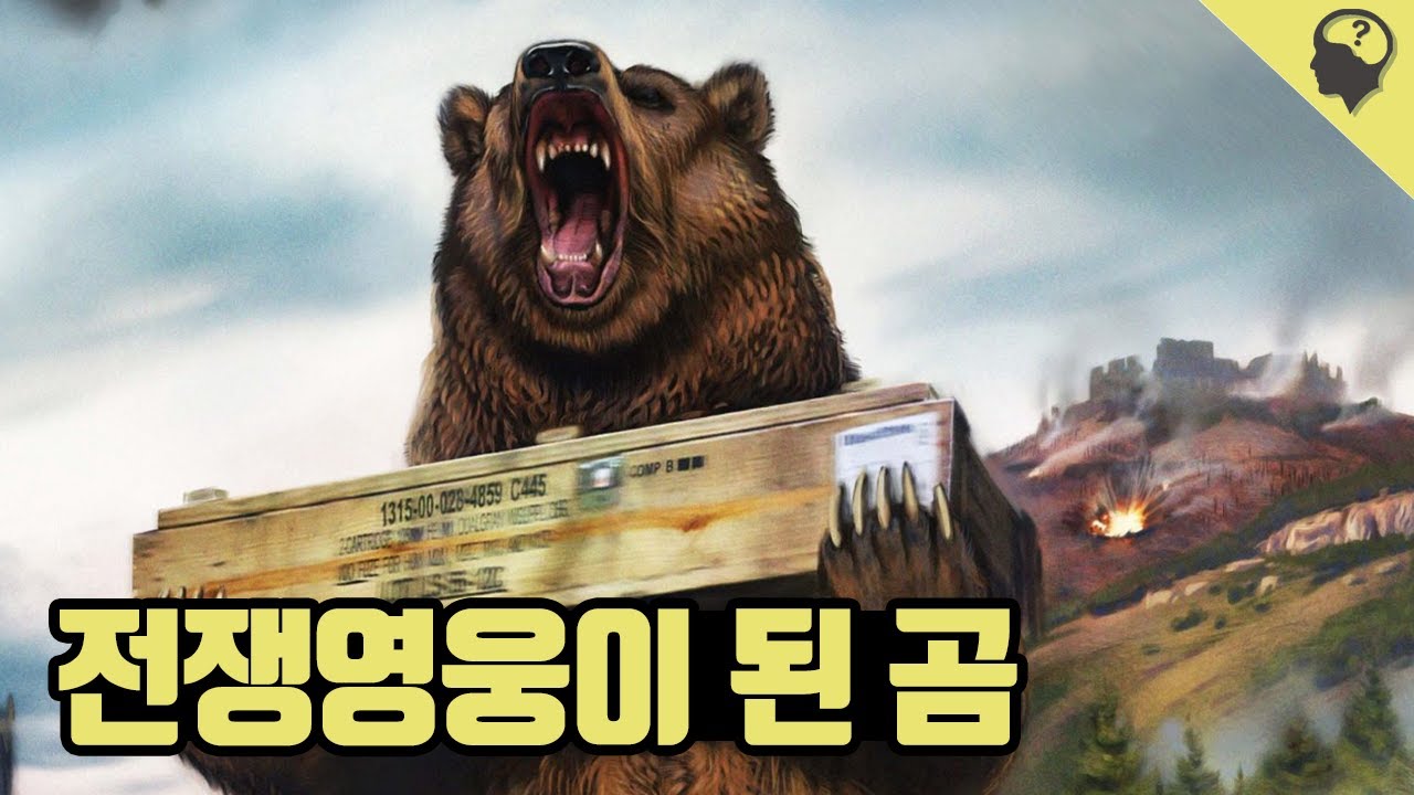 (*사투리 주의 )상식이형이 알려주는 폴란드의 전쟁영'웅' 보이텍 이야기