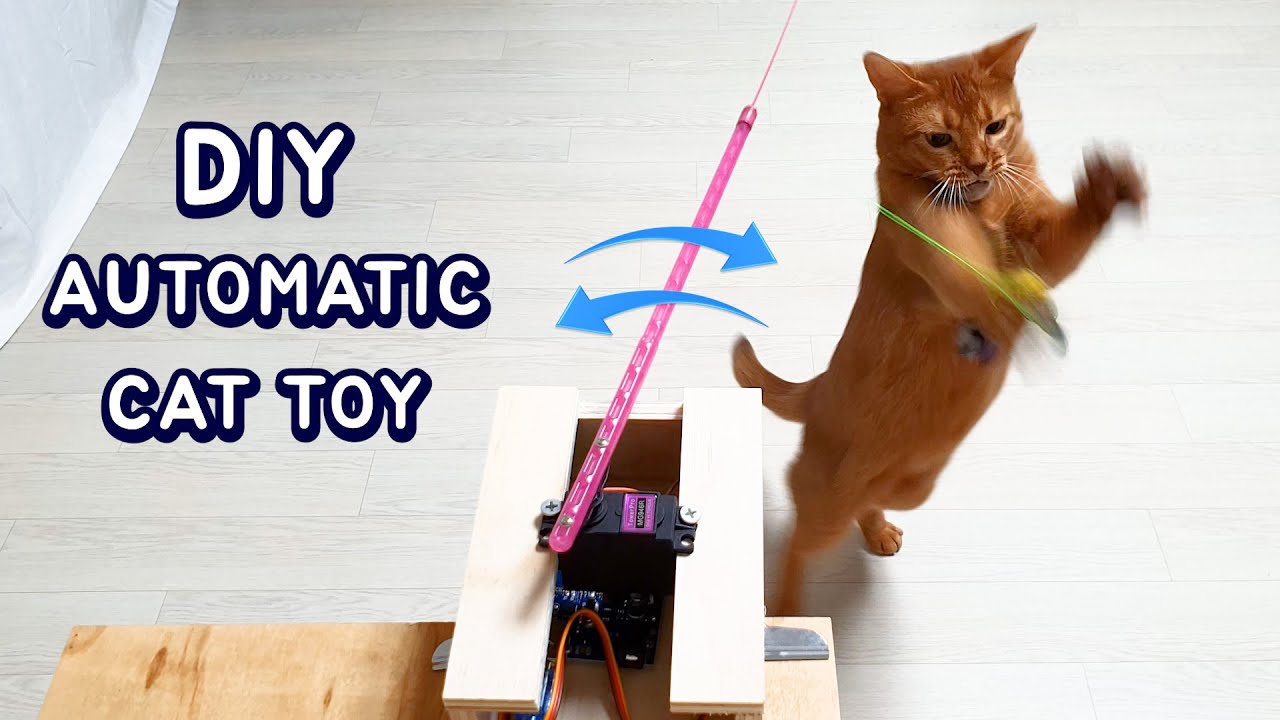 DIY Amazing Automatic Cat Toy