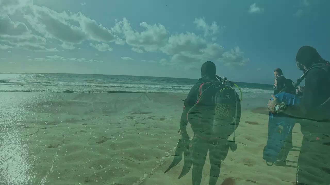 Tauchgänge in Fuerteventura Januar 2026