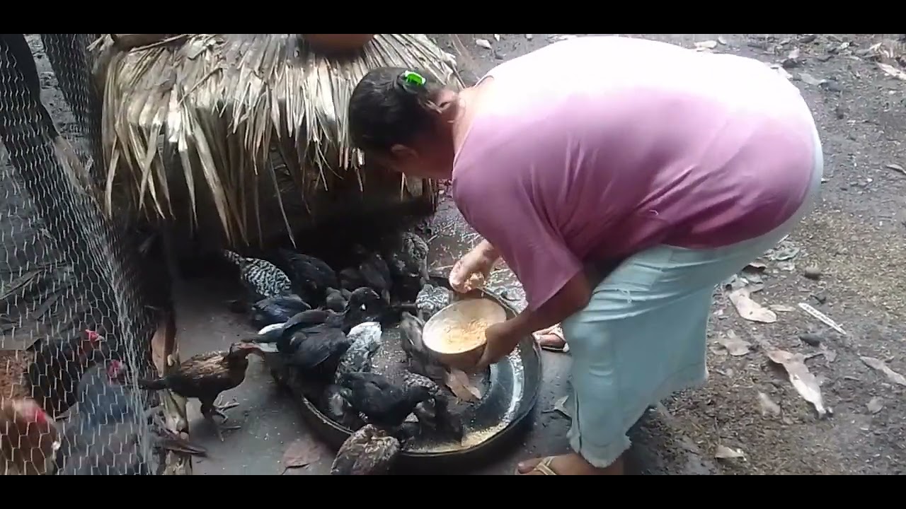 Hora de cuidar das criação 🥰