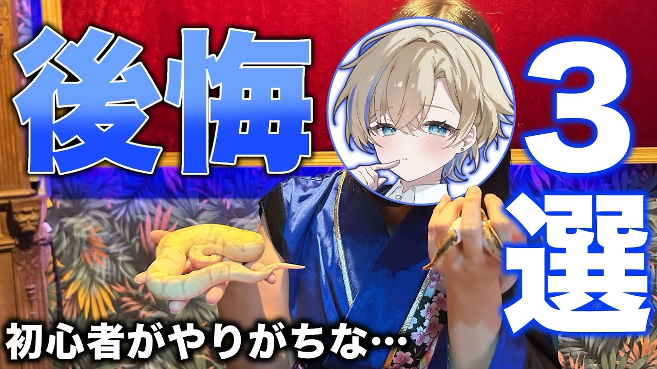 【後悔する前に！】初心者がやりがちな後悔３選をボクっ娘がじっくり紹介！【#夜トノ神】