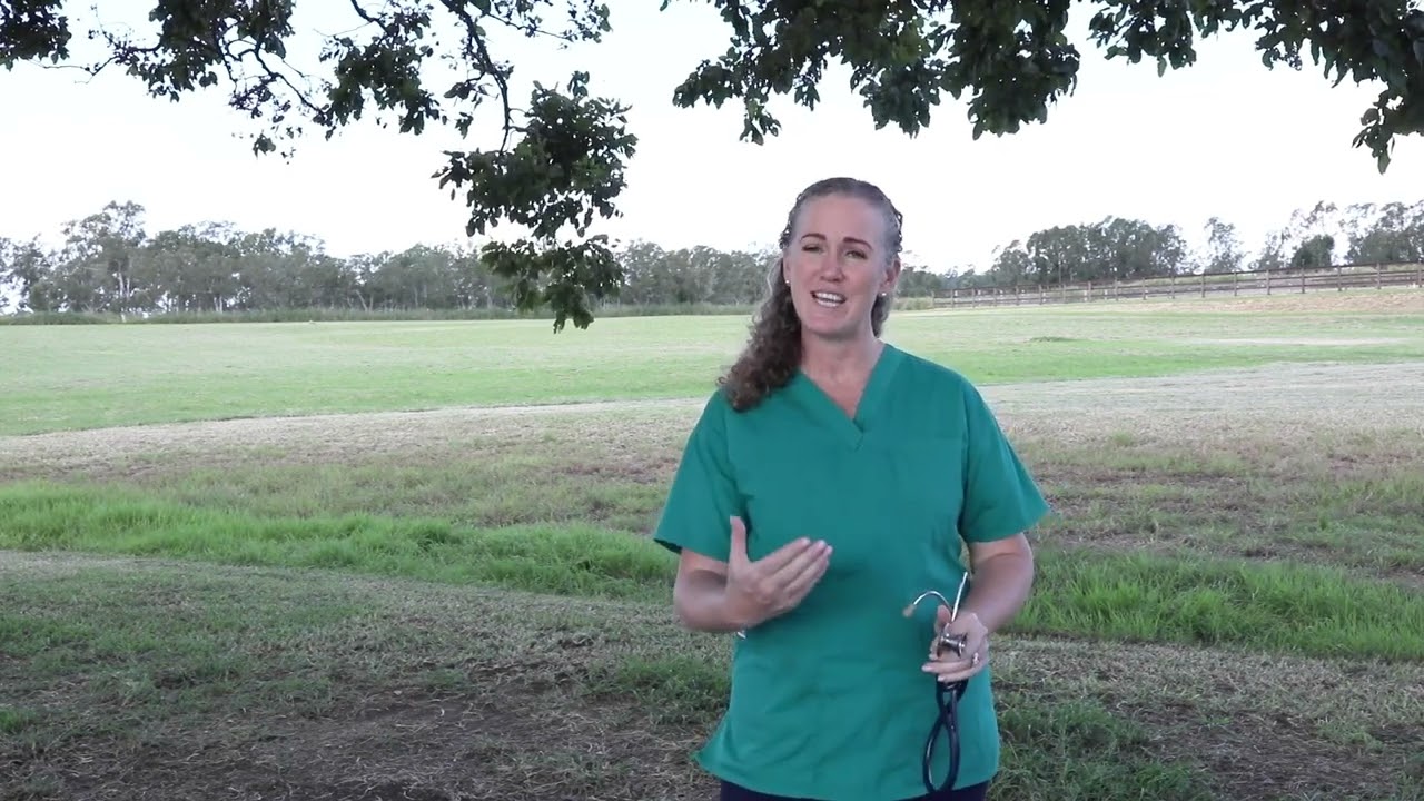Dr. Olivia James Explaining The Equine Practice Practitioner's Program