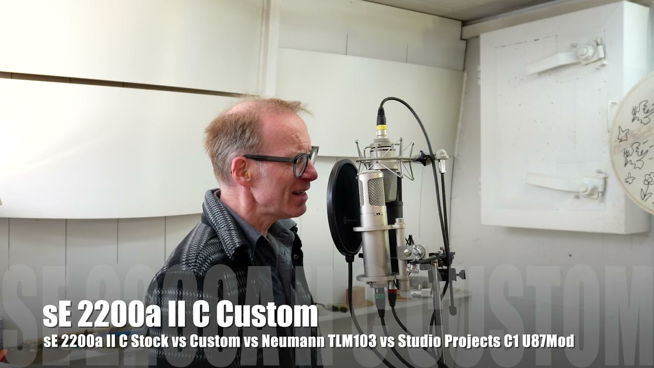 sE 2200a II C Stock vs Custom vs Neumann TLM103 vs Studio Projects C1 U87Mod