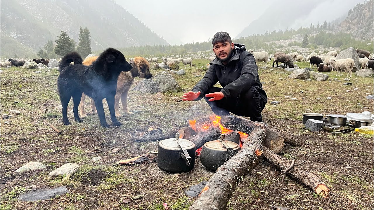 Shepherds of India's Last Village - Chitkul!
