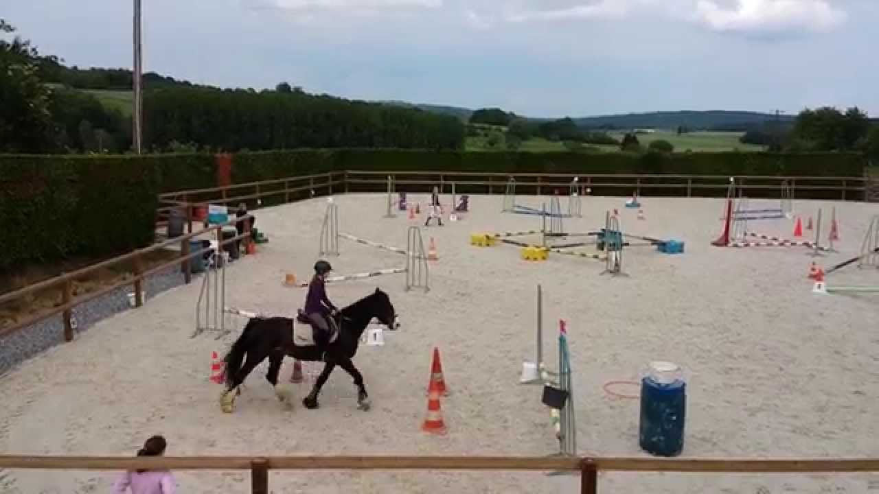 Concours d'Equifun [Mai 2014]