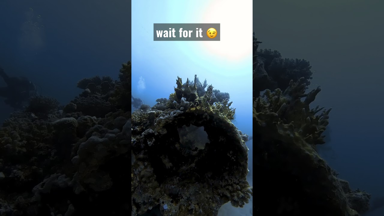 Epic View Inside This Hole 30 M Deep Underwater #scubavlog