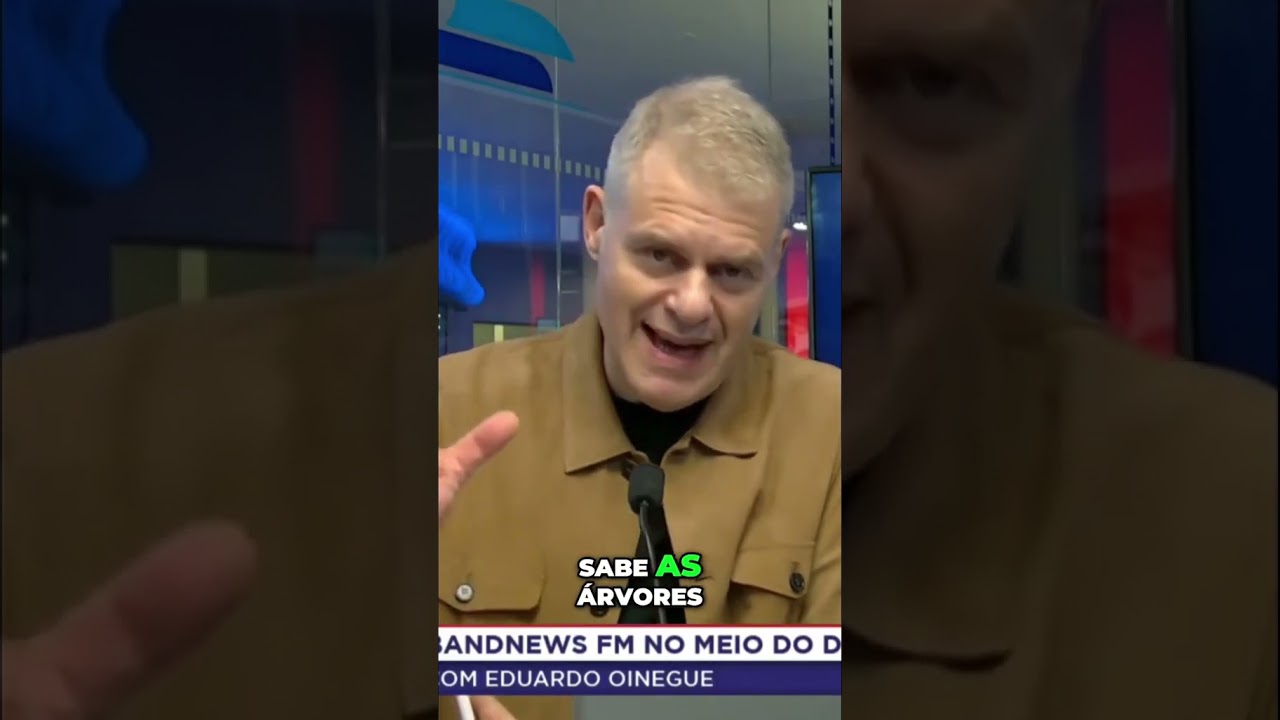 A nossa economia parece saud&aacute;vel como uma &aacute;rvore.