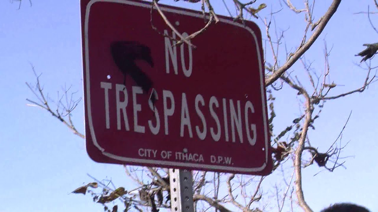The Jungle: A inside look at Ithaca's homeless campground