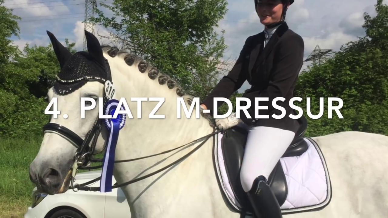 #FMA - M-Dressur mit Richter Fail 🤣 PRE Hengst Koronel 💕🦄