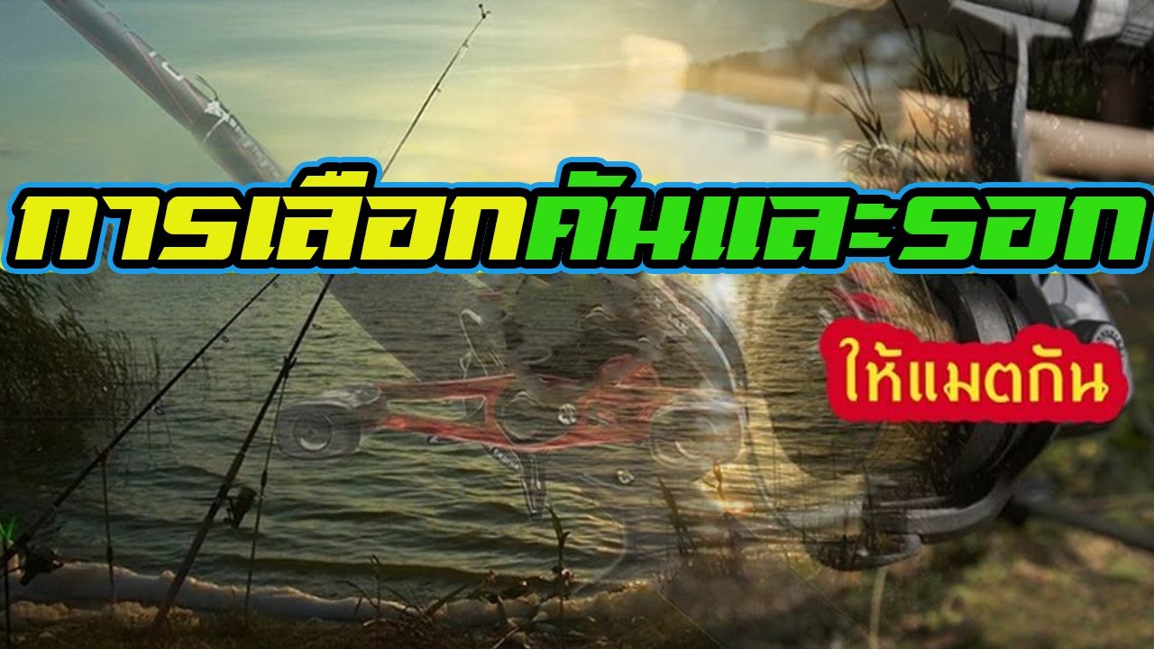 การเลือก | คันและรอกตกปลา | ให้แมตช์กัน