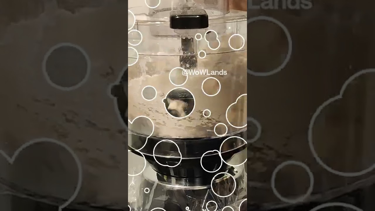 Chapati or Roti Dough within Seconds | Preethi Zodiac Mixer Review #shorts #review #unboxing