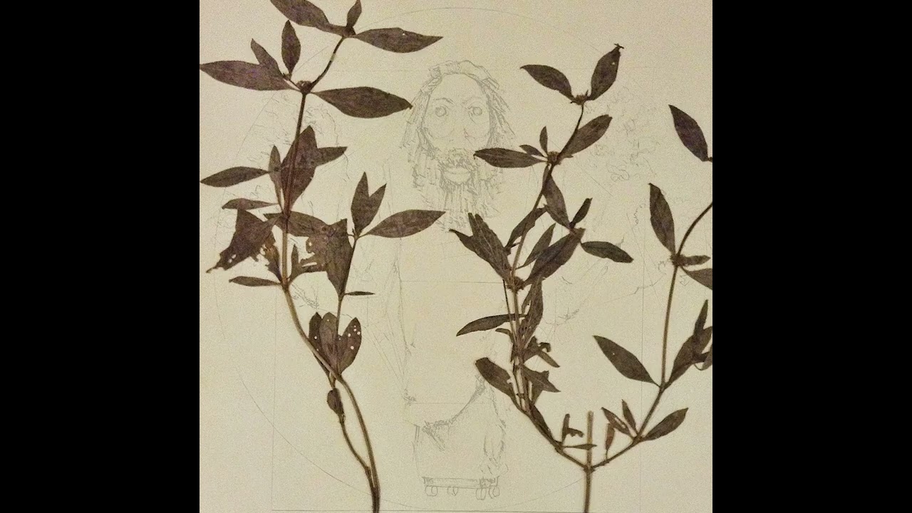 Recidivism