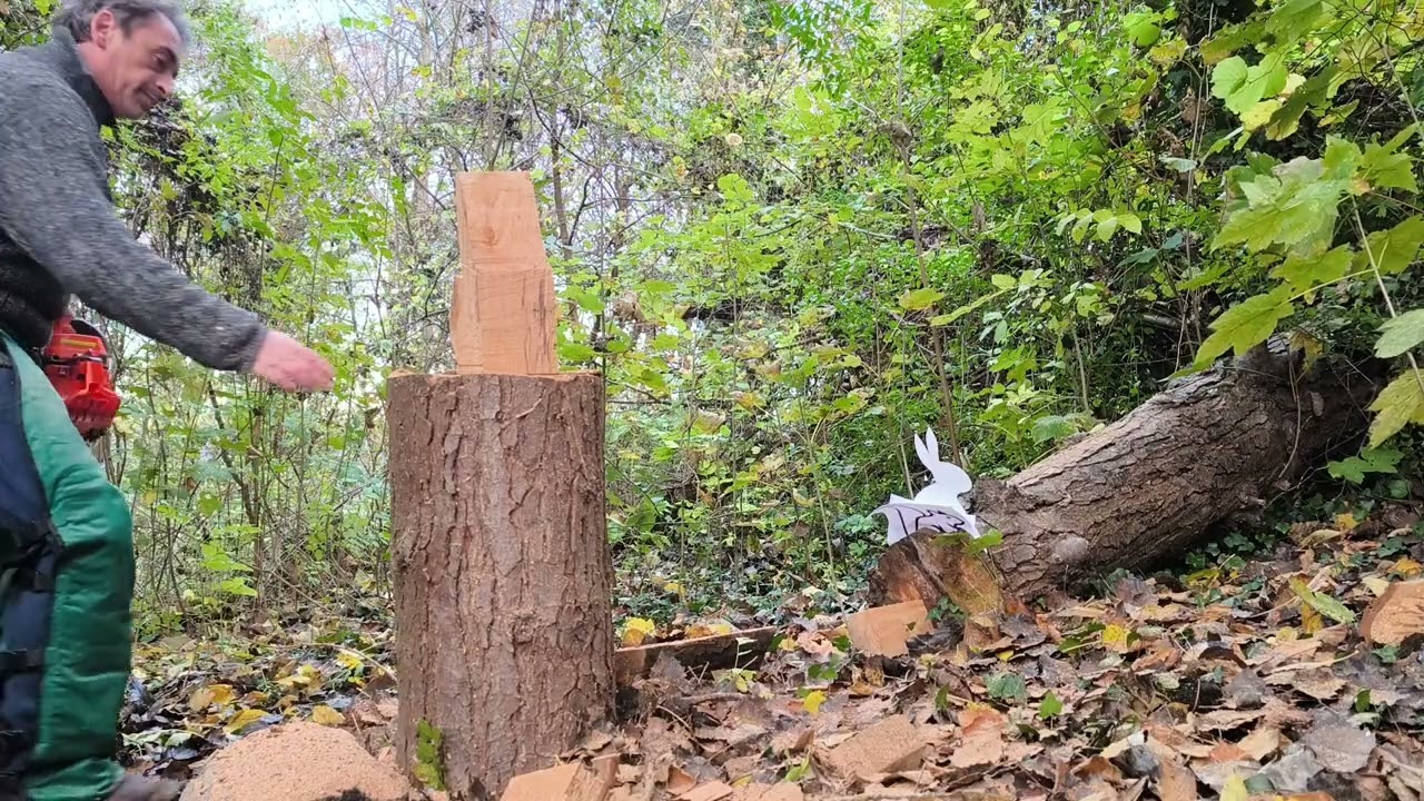 Sculte moi un lapin à la tronçonneuse 