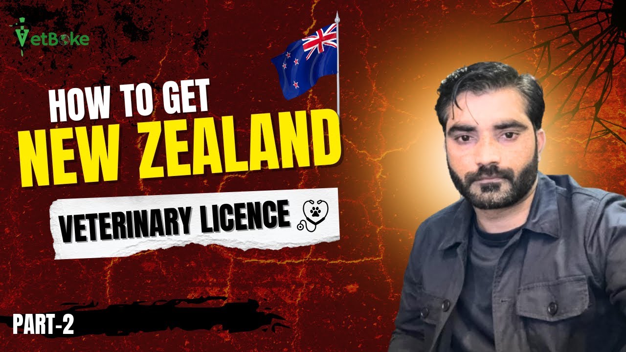 How to Get Veterinary License in New Zealand from Pakistan/India/ How to become Vet Abroad