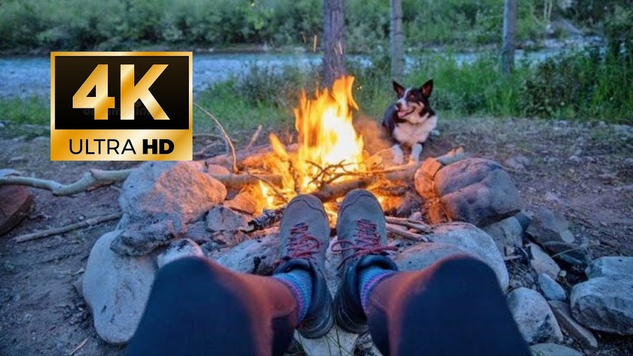 4K HD, подходит для собак 🇦🇺 БЕСПЛАТНЫЙ КЕМПИНГ [Горячие точки] на юго-востоке Квинсленда, Австра...