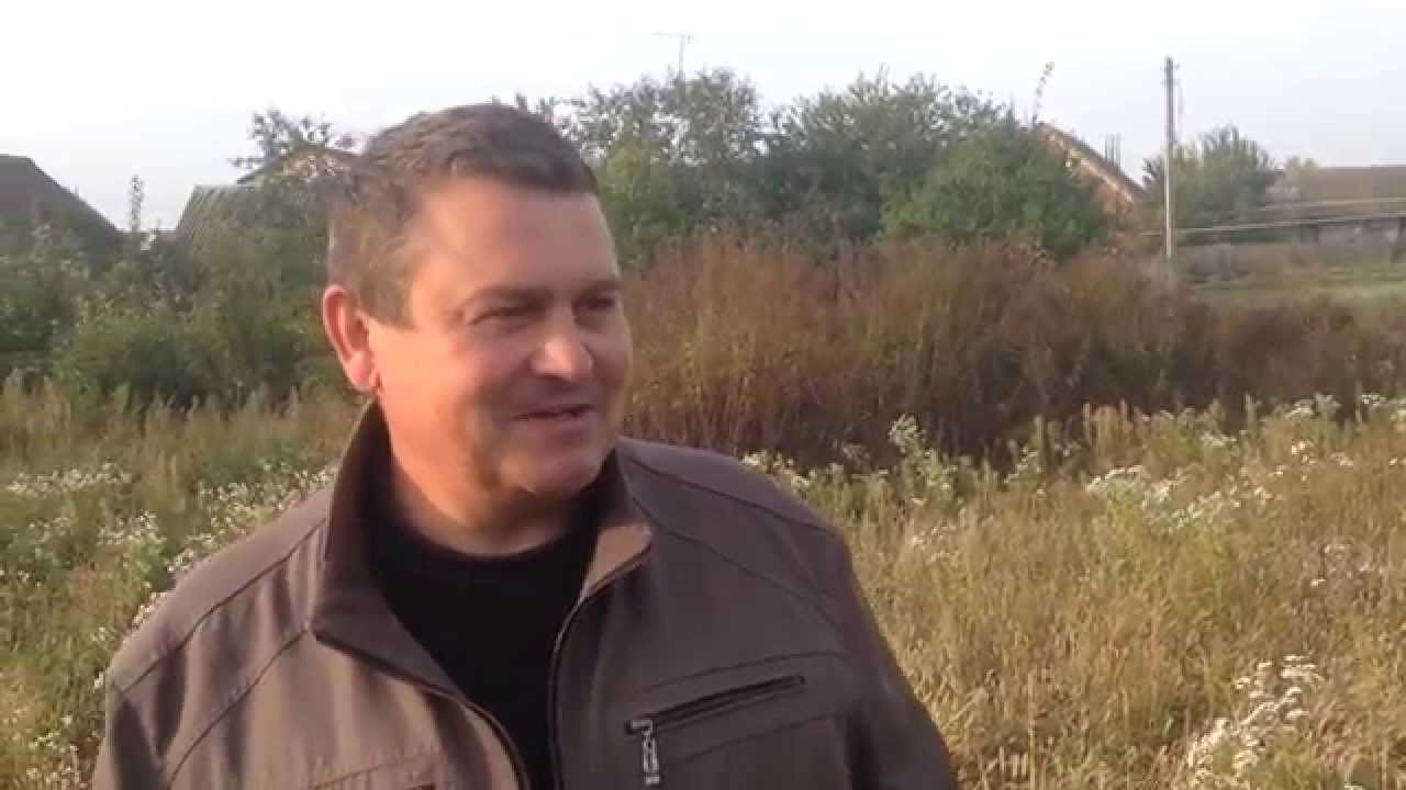 Холмогорские гуси Николая Приходченко и Касилова Анатолия в Грайворонском районе. Часть 1