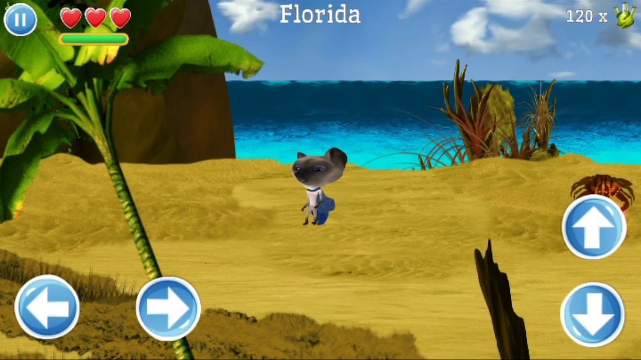 Zulkans Adventure Florida