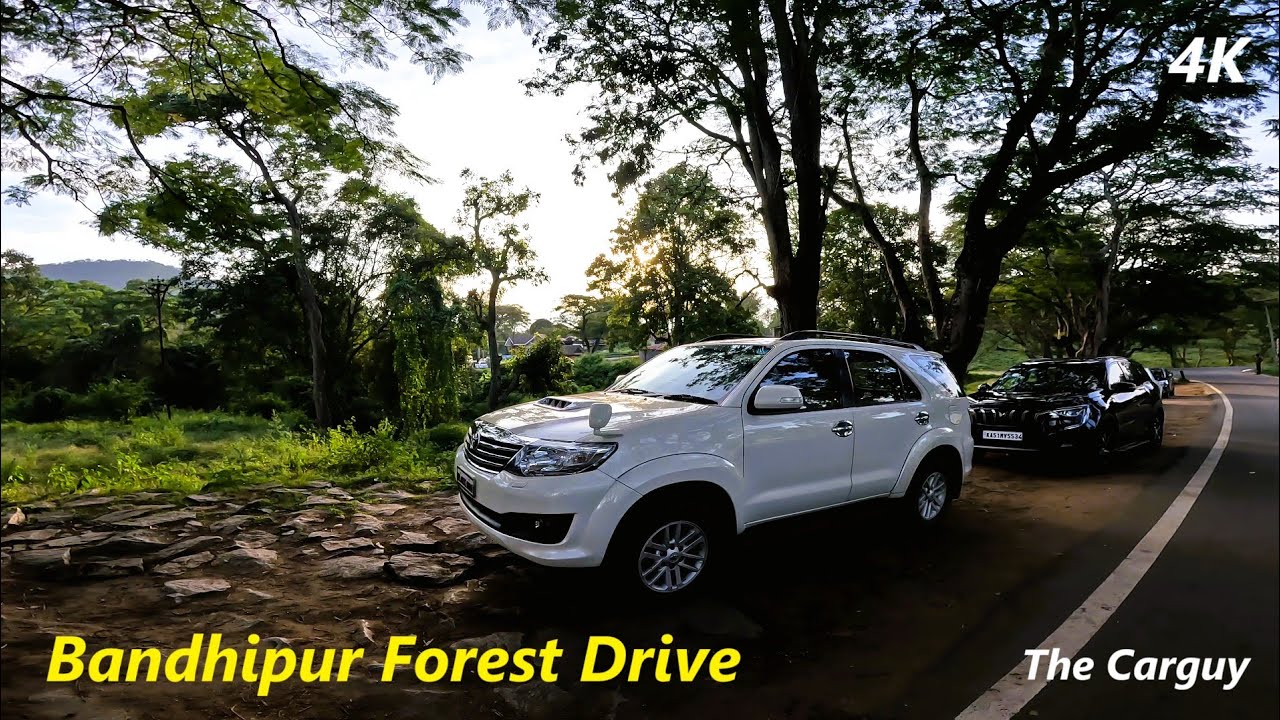 Toyota Fortuner 4x4 POV Driving | Bandhipur Forest | 3.0 L D4D | 4K | The Carguy | ASMR | #19 |