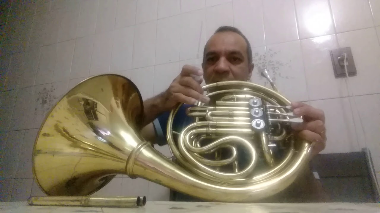 Lubrificando os rotores da Trompa.
