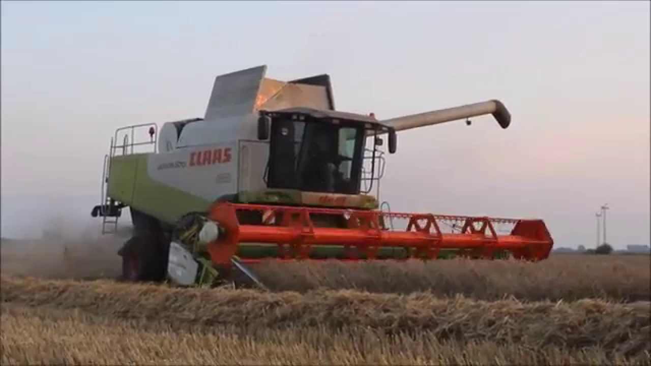 [HD] Claas Lexion 570 - Hafer dreschen || Ostfriesland || LU Hinrichs