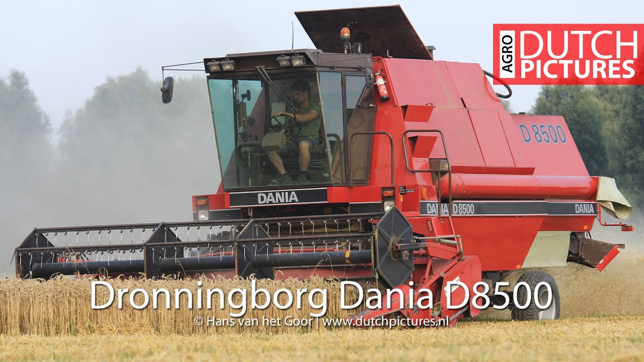 Dronningborg - Dania D8500 | Harvesting wheat | Tarwe dorsen | Weizenernte | Biddinghuizen | Case IH