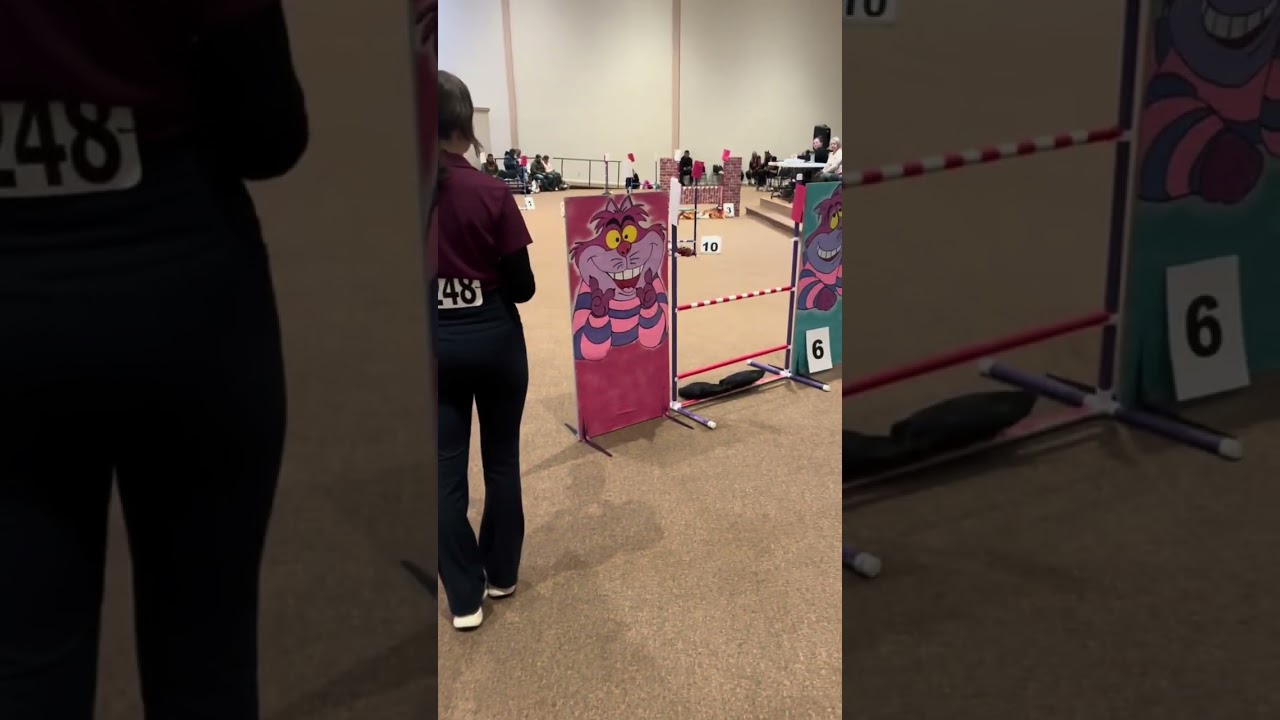 Hobbyhorse Competition! *RE-UPLOAD* @Aviàn_Hobbyhorsing  