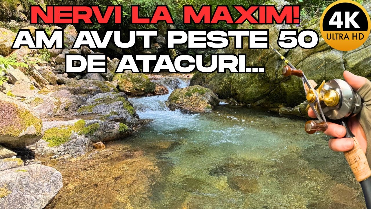 PĂSTRĂVII au “MÂNCAT” ciudat. N-AM mai PĂȚIT asta |4K|.