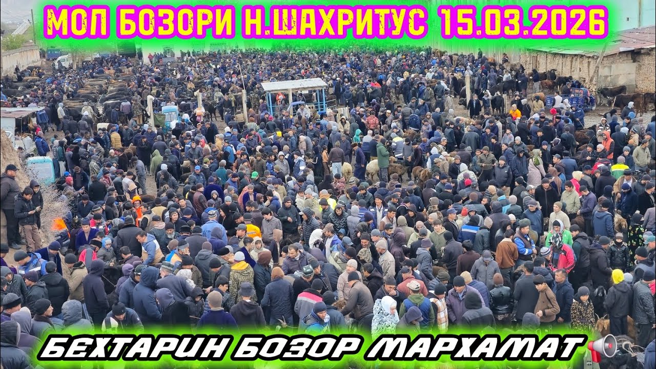 БЕХТАРИН МОЛ БОЗОРИ Н.ШАХРИТУС.