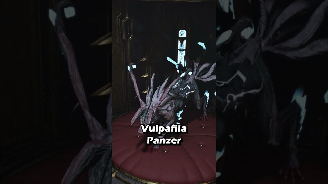 Compa&ntilde;eros que deber&iacute;as tener 🤔 #warframe #companion #1999
