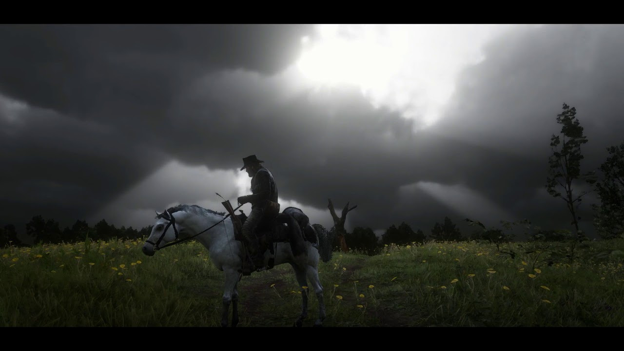 Red Dead Redemption 2 - A Passing Storm