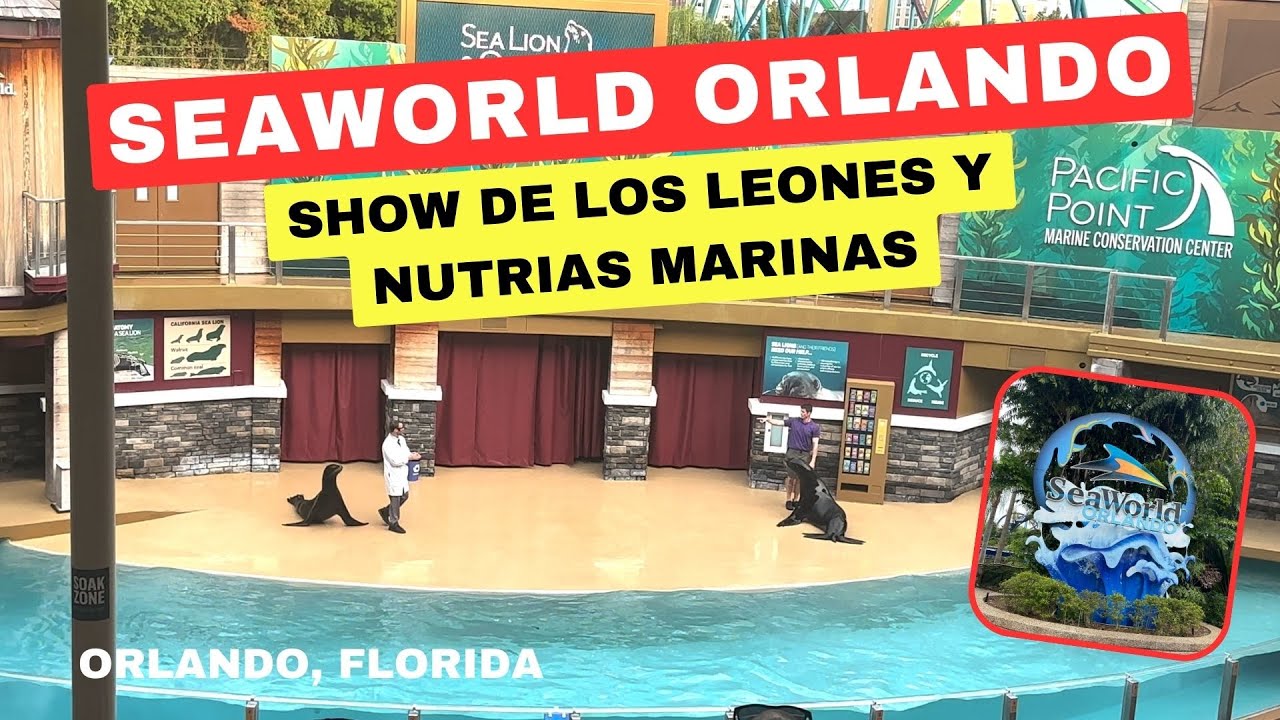 SHOW DE LOS LEONES Y NUTRIAS MARINAS EN SEAWORLD ORLANDO (EL MUNDO MARINO) EN LA FLORIDA