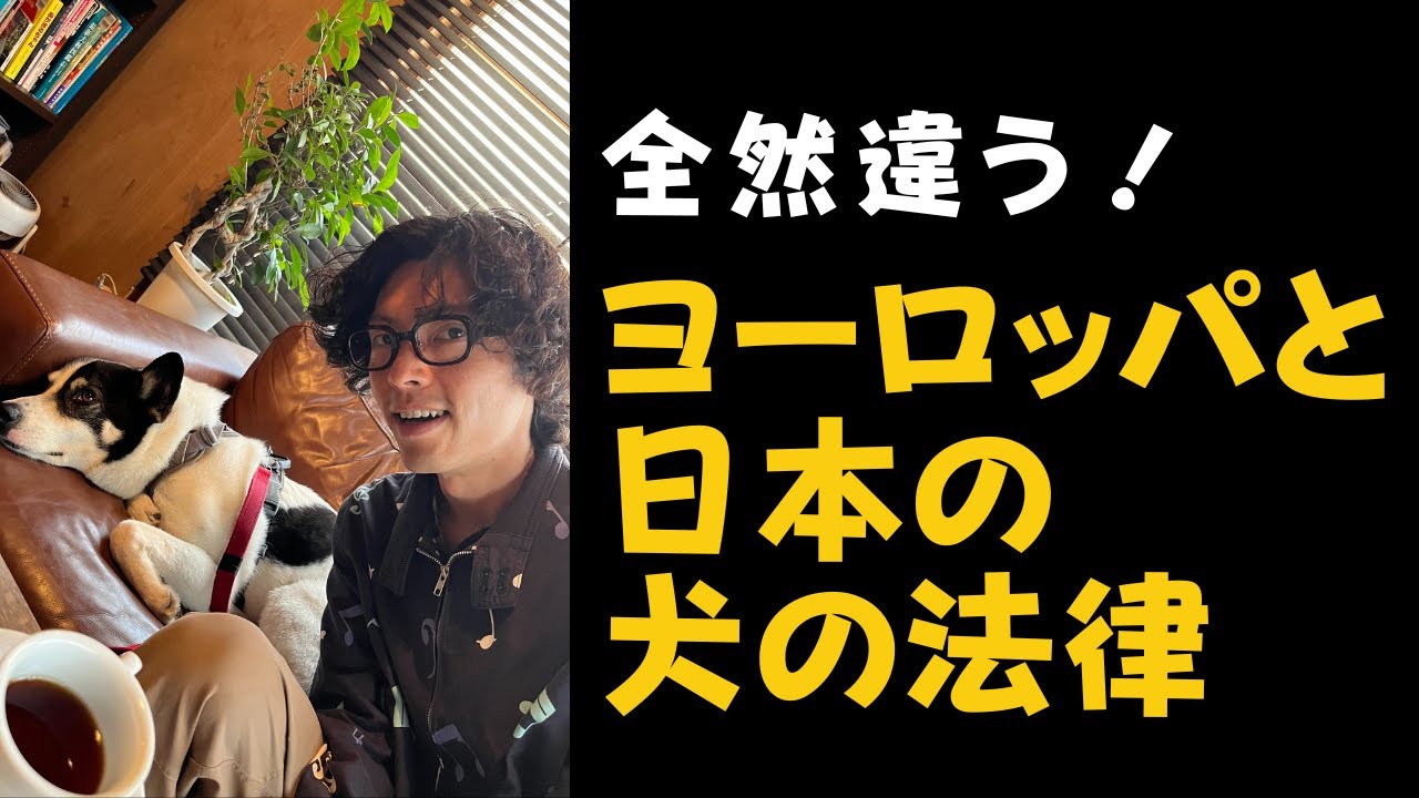 全然違う！ヨーロッパと日本の犬の法律