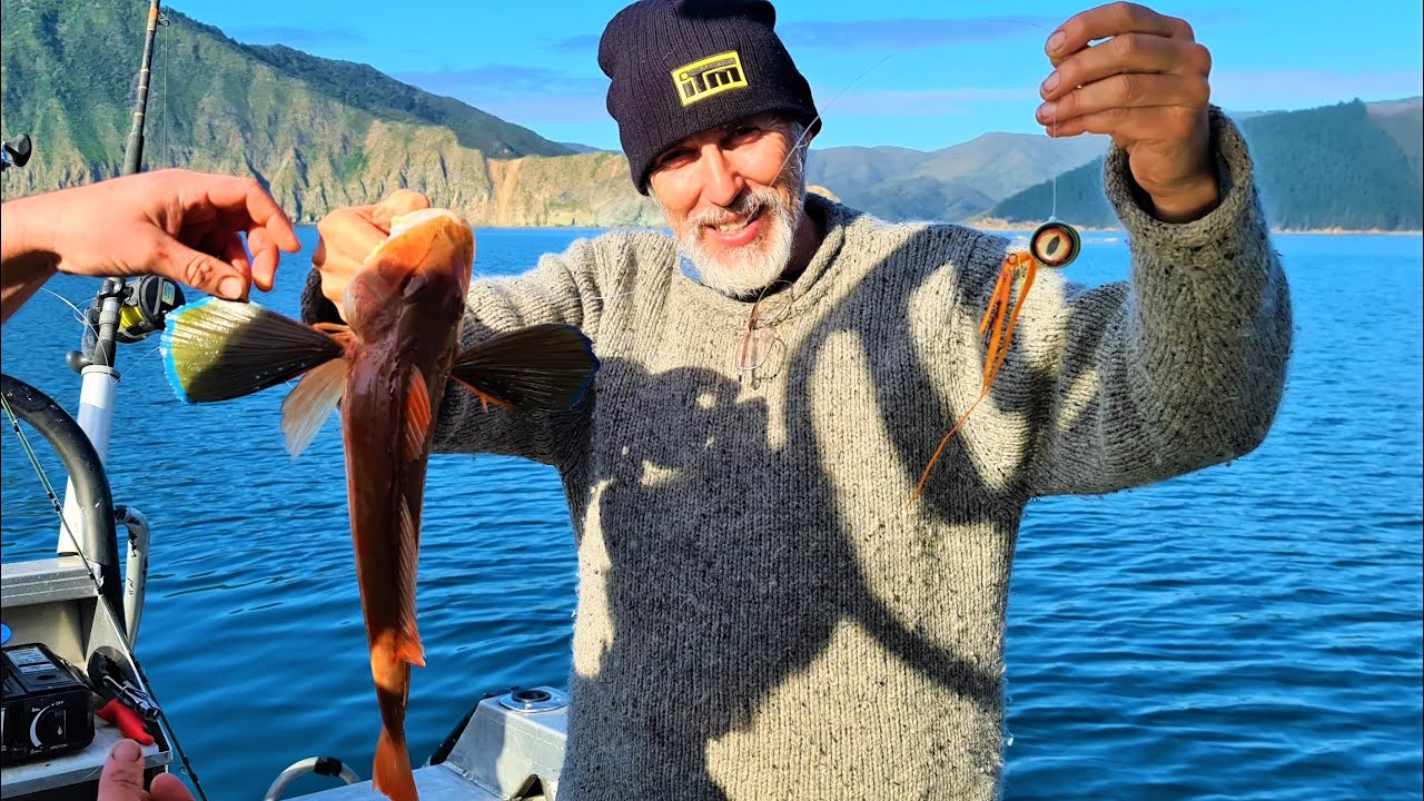 Hunting & Fishing ~ D'Urville Island in New Zealand