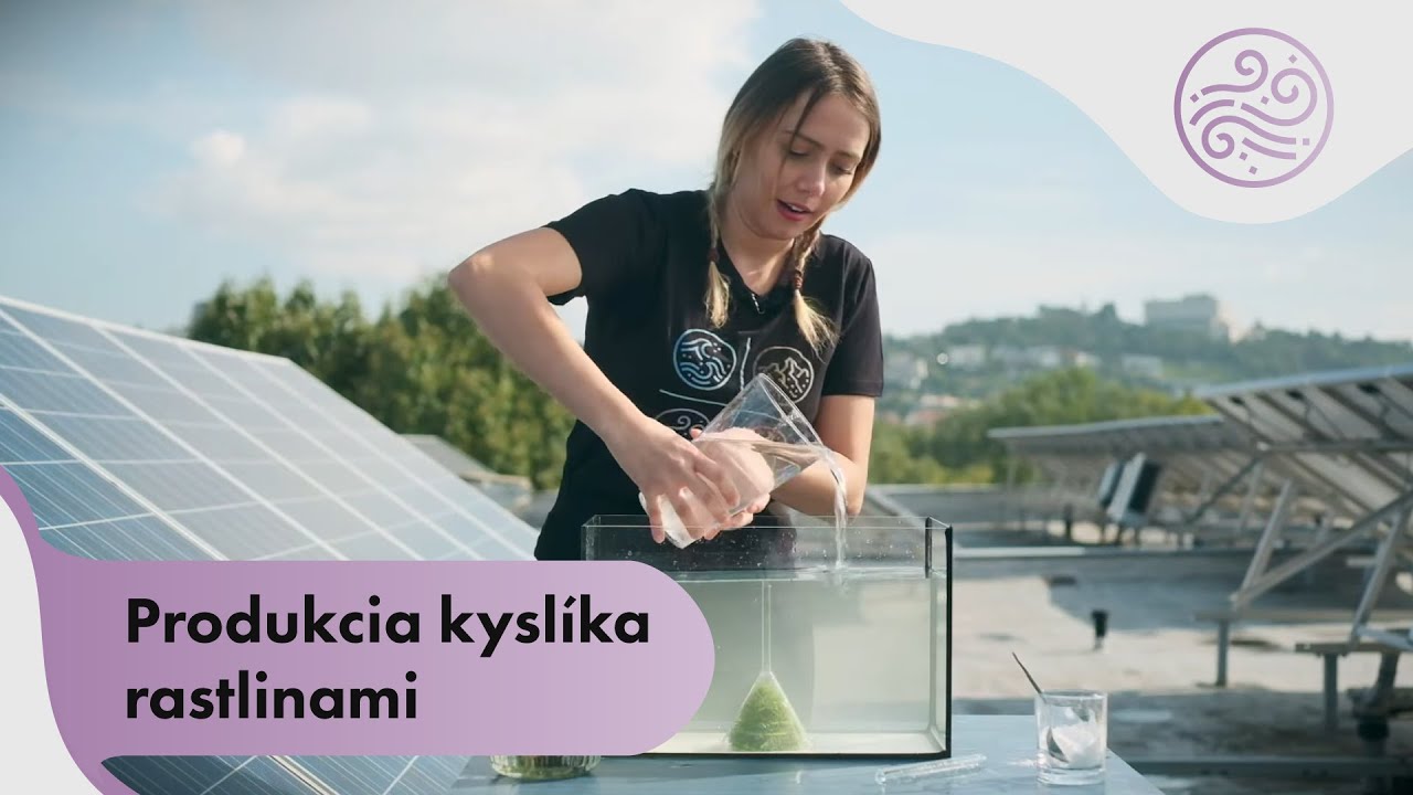 Vedecké pokusy Štyri živly - Produkcia kyslíka rastlinami