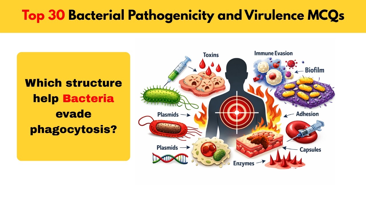 “Pathogenicity & Virulence Factors | 30 Most Important MCQs for Microbiology Exams”