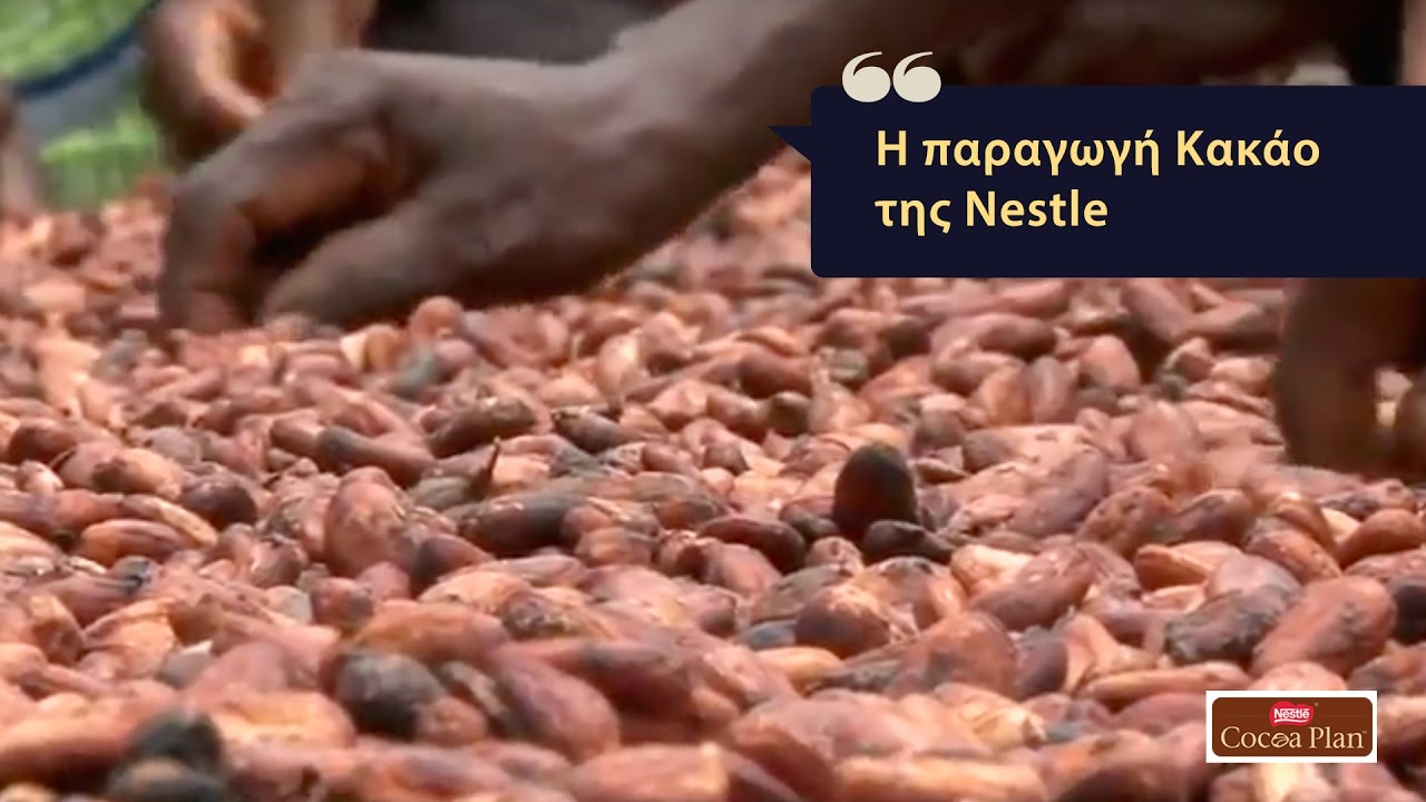 Η παραγωγή Κακάο της Nestlé σε 3 μόνο λεπτά | Nestlé Dessert