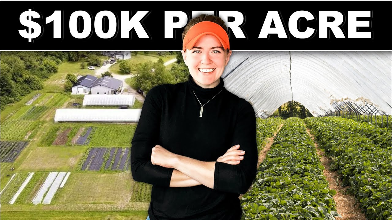 🍅🥬 $100K PER ACRE MARKET GARDEN BUSINESS (full interview) Wegener Farm Organic Vegetable CSA Farming