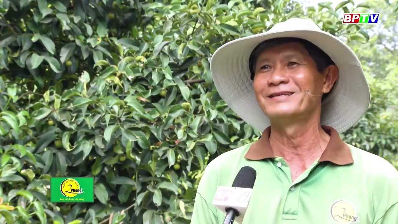 Bình Phước