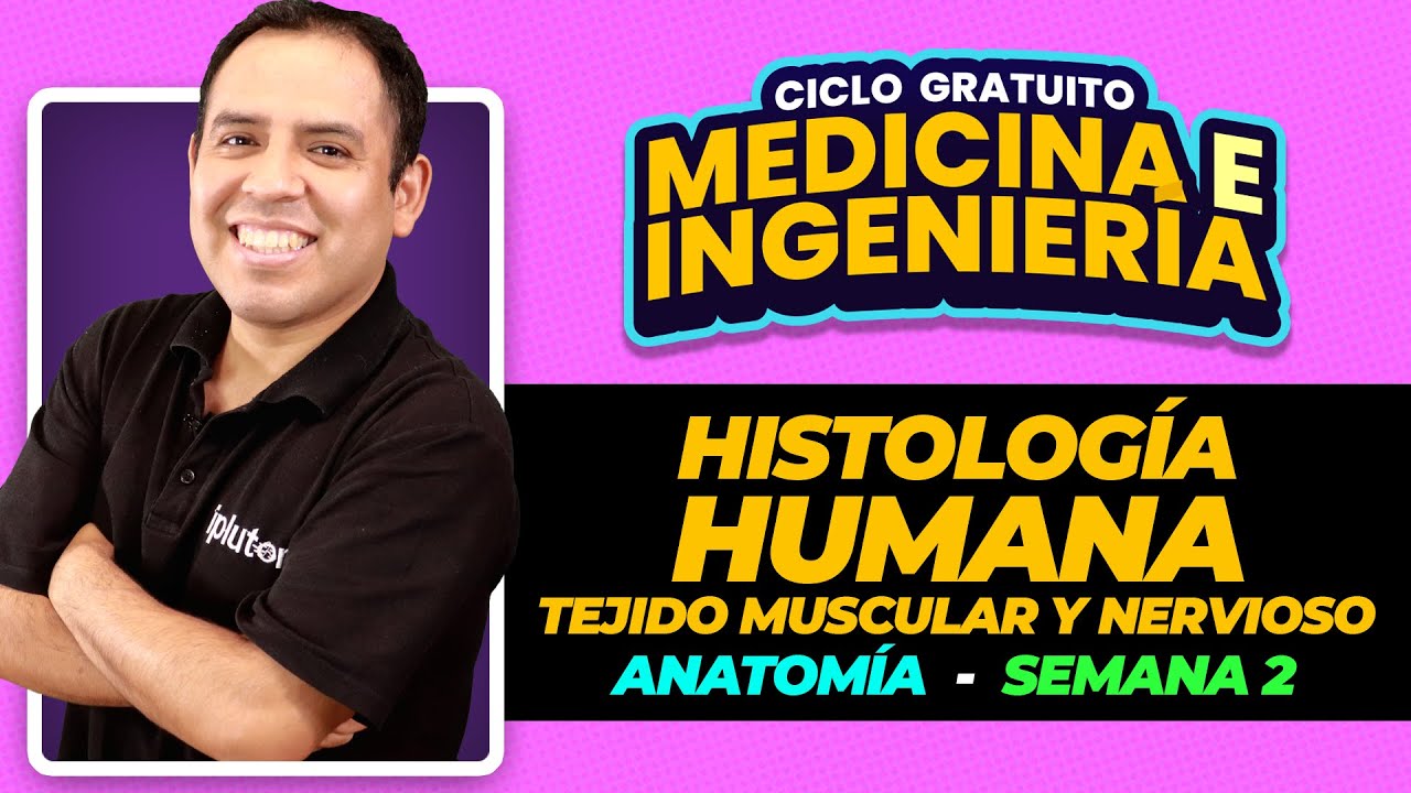 ANATOMÍA | Histología Humana: tejido muscular y tejido nervioso