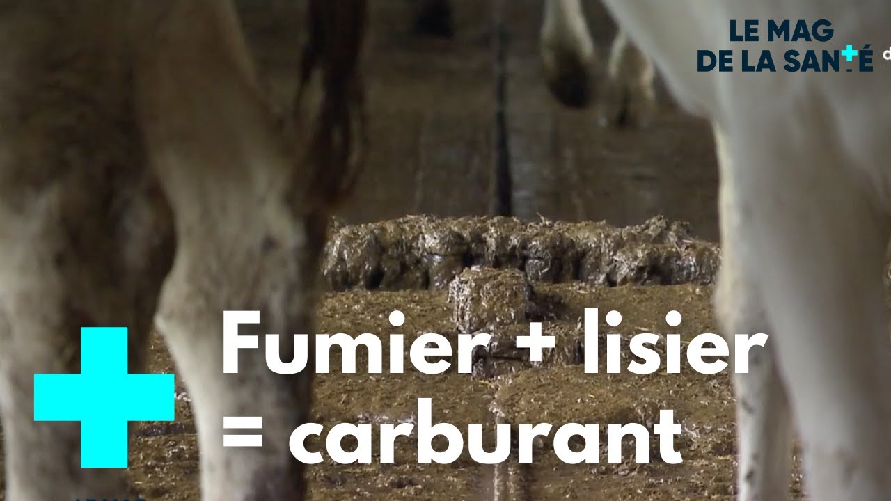 Biogaz : du lisier recyclé en carburant - Le Magazine de la Santé