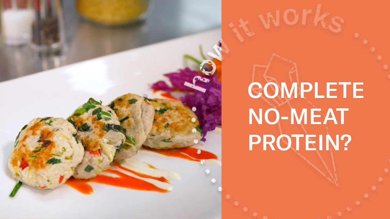 Mycoprotein: Protein Made Out Of Fungi | Sustainable Alternative Proteins