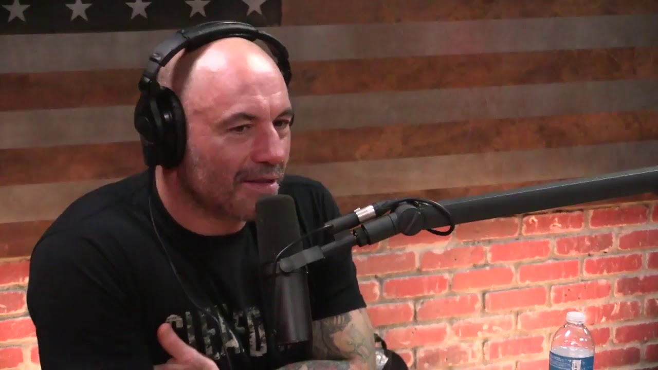 Joe Rogan - Equality and Equity Are NOT the Same Thing