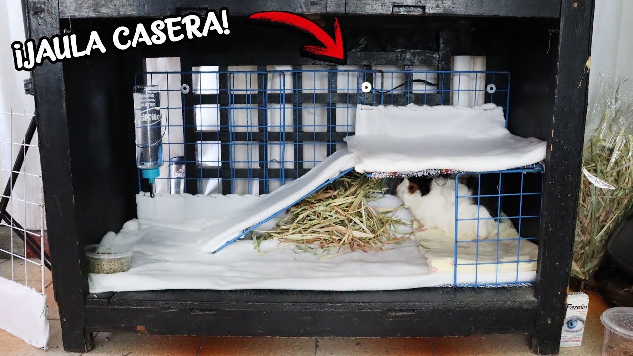 ¿Cómo hacer una JAULA CASERA PARA CUYOS o CONEJOS? ¡Dentro de un mueble! | AcuariosLP