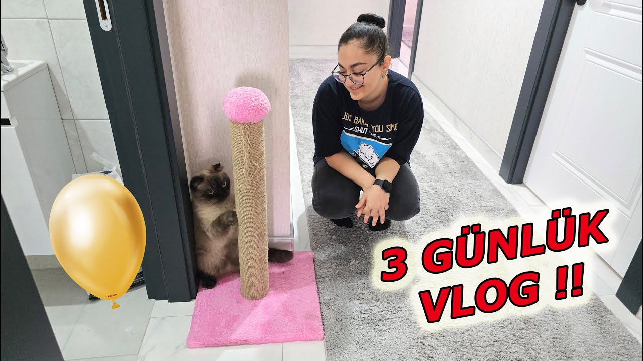 3 GÜNLÜK VLOG ! NURETTİN HAYALLERİNE KAVUŞTU