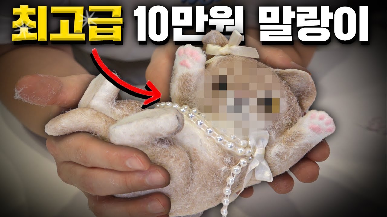 세상에 10만원짜리 말랑이가 있어?! 가격대별 7종 리뷰!
